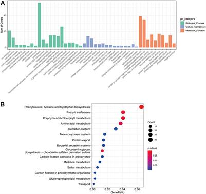 Comparative Transcriptome Sequencing Analysis of Hirudo nipponia in Different Growth Periods